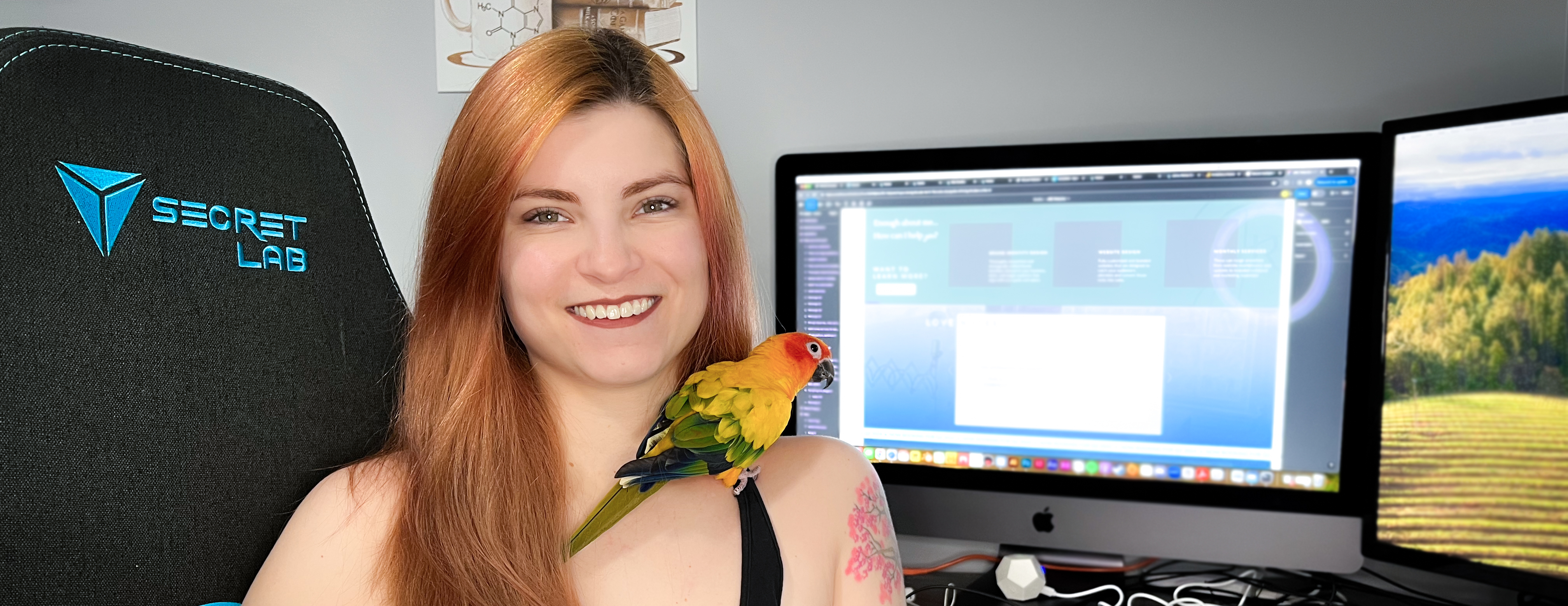 Image of Jaime with her sun conure, Loki, sitting in front of her computer with Showit website builder open on the screen.
